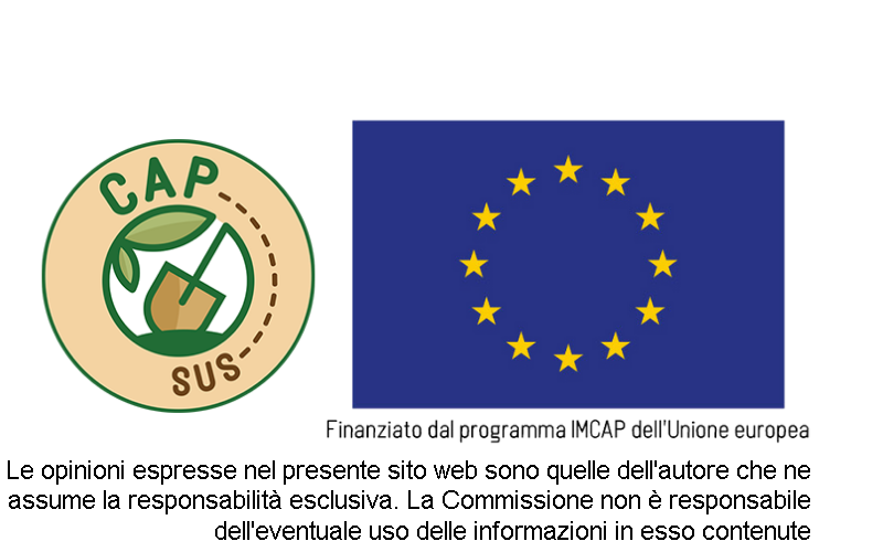 CAPSUS